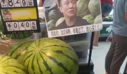 911吃瓜爆料蘑菇网,蘑菇网背后惊人内幕大揭秘